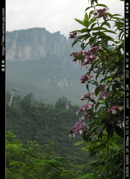 恩施景点图片